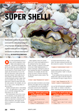 Intro to Shell Scripting